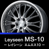 Leyseen MS-10